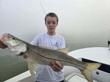 Nice snook 
