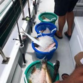 Key West Report Photo 1