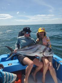 Roosterfish. 