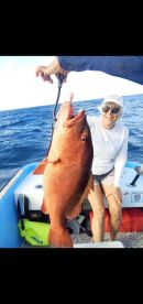 Snapper