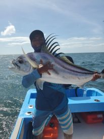 Big rossterfish