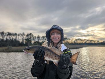 Jacksonville Report Photo 1