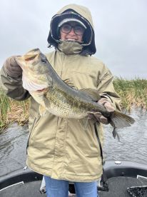 Fellsmere Report Photo 3