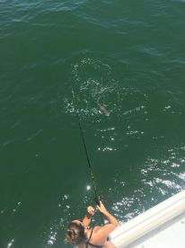 Virginia Beach Report Photo 2
