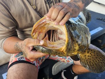 New Smyrna Beach Report Photo 1
