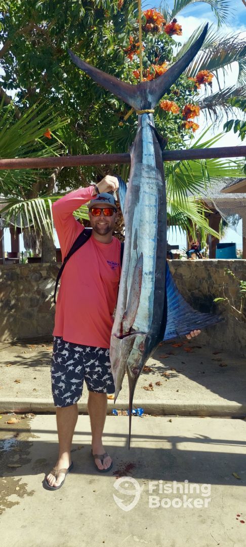 San Jose del Cabo Report Photo 0