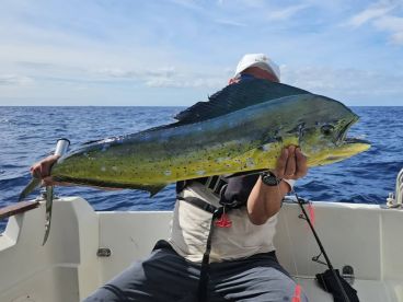 SHARED TRIP FRIDAY 31st | 1-2 SPOTS LEFT