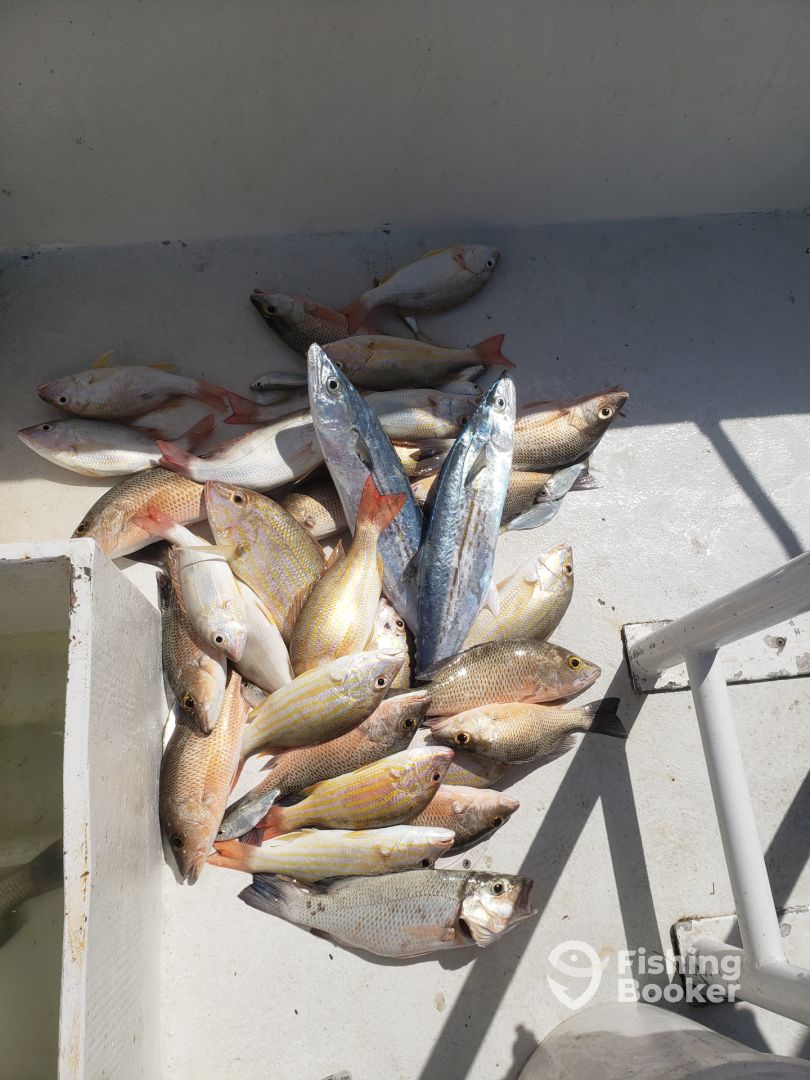 San Pedro Report Photo 0