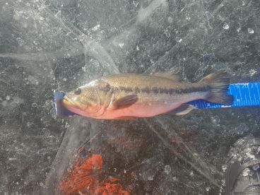 Boston Report Photo 1