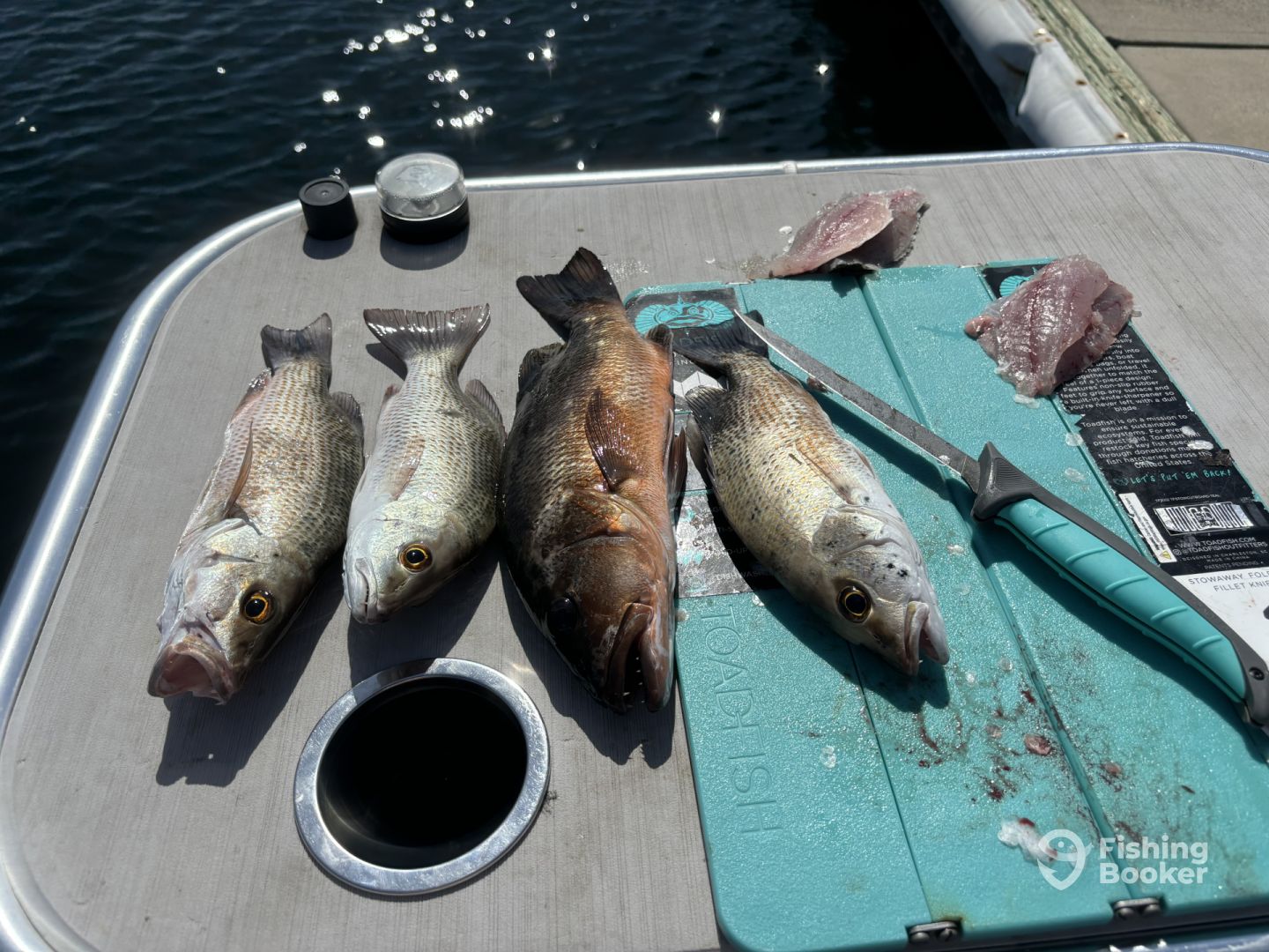 Key Largo Report Photo 0