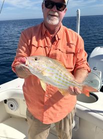 Nokomis Report Photo 1