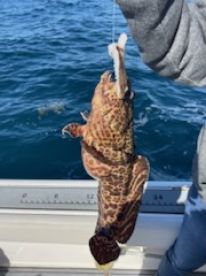 It's cold but the fish are hungry 