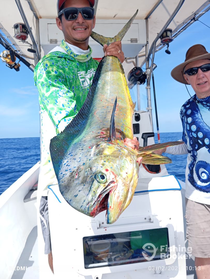 Herradura Report Photo 0