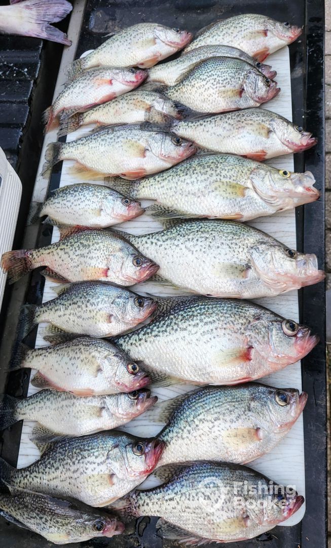 Limit ready for cleaning
