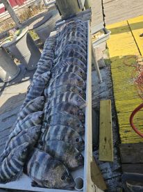 Offshore 4 hour trip