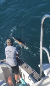 Bucket List Trophy – Sailfish Caught Cow