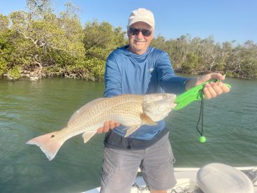 Punta Gorda Report Photo 2