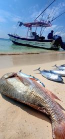 Playa Del Carmen Report Photo 1