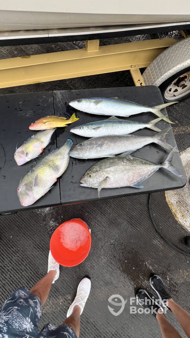 Kailua-Kona Report Photo 0