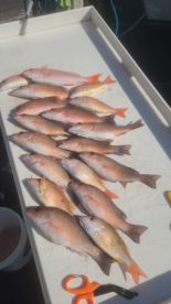 Fort Lauderdale Report Photo 2