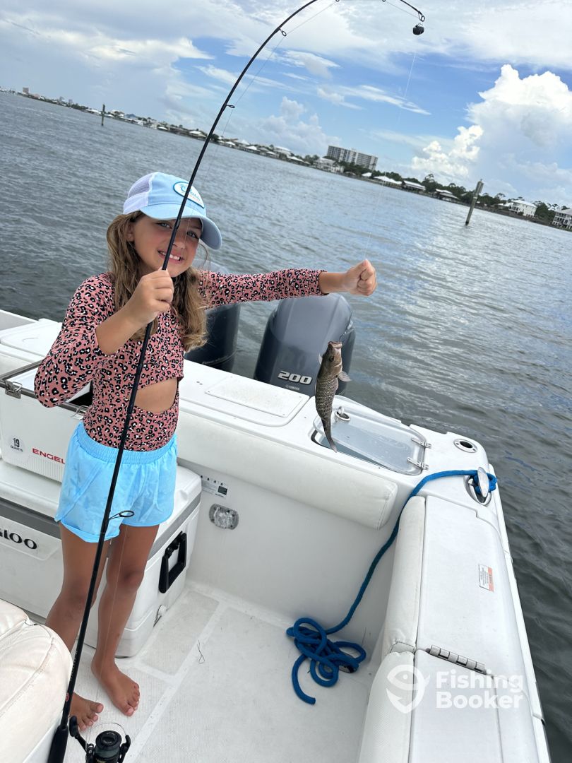 Orange Beach Report Photo 0