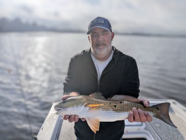 Jacksonville Report Photo 2