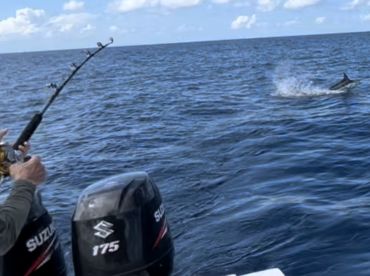 Amazing fishing Offshore 