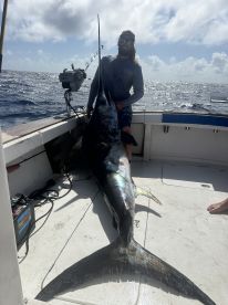 Big Pine Key Report Photo 1