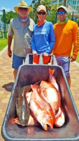 Orange Beach Report Photo 2