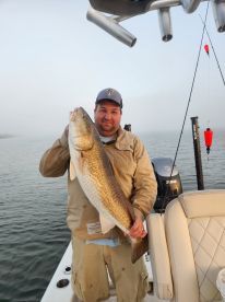 Bull Red on the Rocks!!