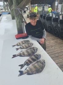 Its been cold but the fish dont mind