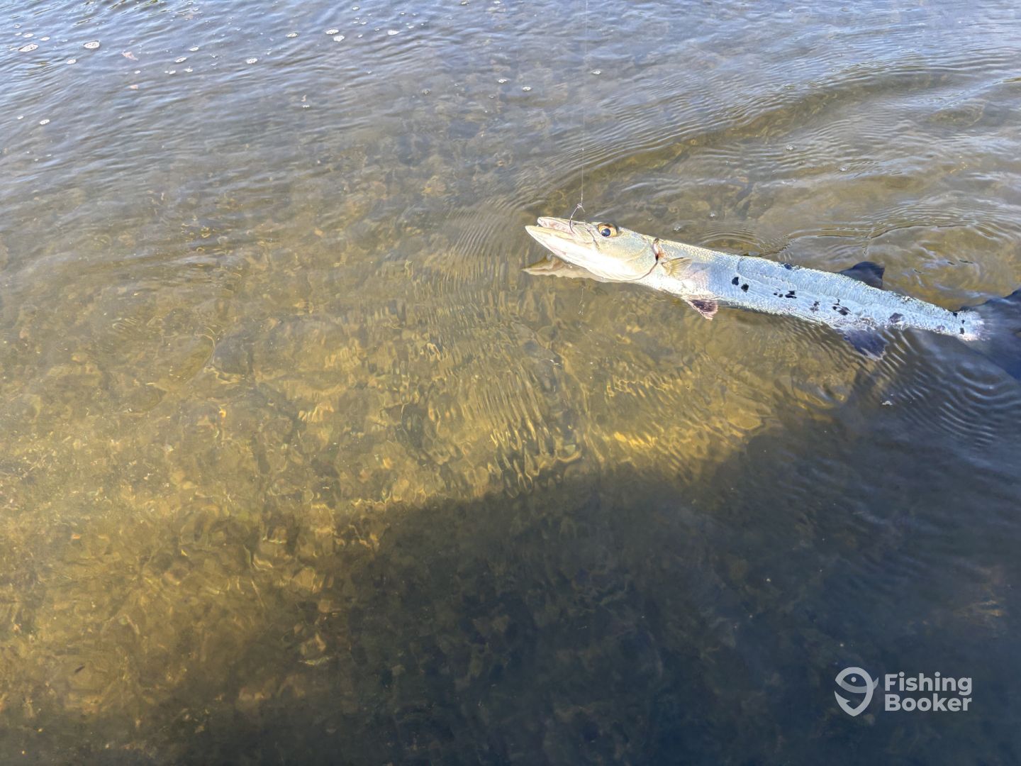 Key Largo Report Photo 0