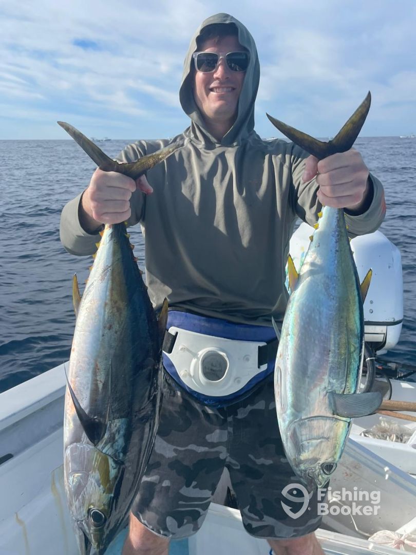San Jose del Cabo Report Photo 0