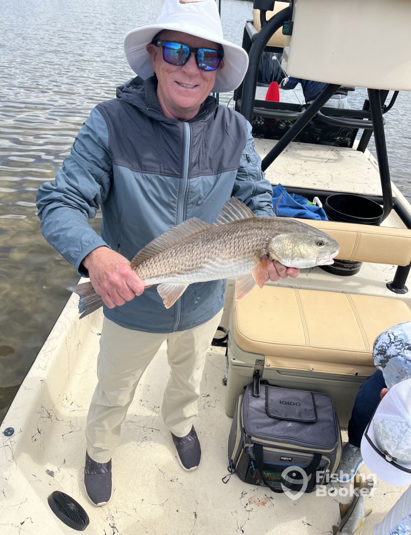 Punta Gorda Report Photo 0