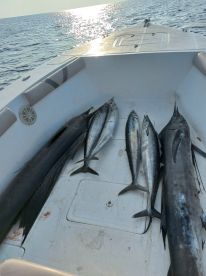 Fantastic trip with Eldis 