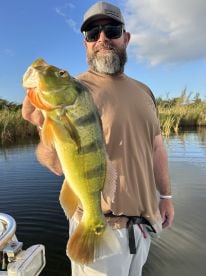 Peacock bass fishing
