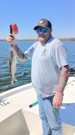 San Antonio Report Photo 2