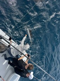 Fort Lauderdale Report Photo 2