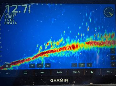 Boom 100 plus fish day! 