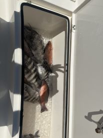Nokomis Report Photo 1