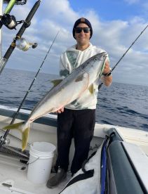 La Jolla yellowtail!!!