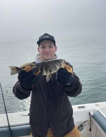 Coastal bass