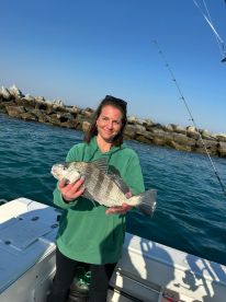 Fish are here!