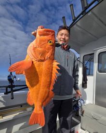 Great news! Demersal Shelf Rockfish and 
