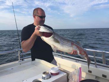 Montauk Report Photo 2