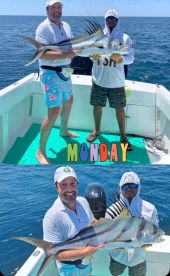 Roosterfish 