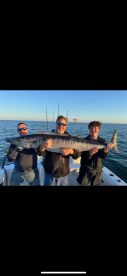 Wahoo Fishing