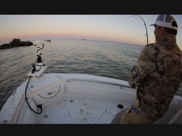 San Leon Report Photo 1