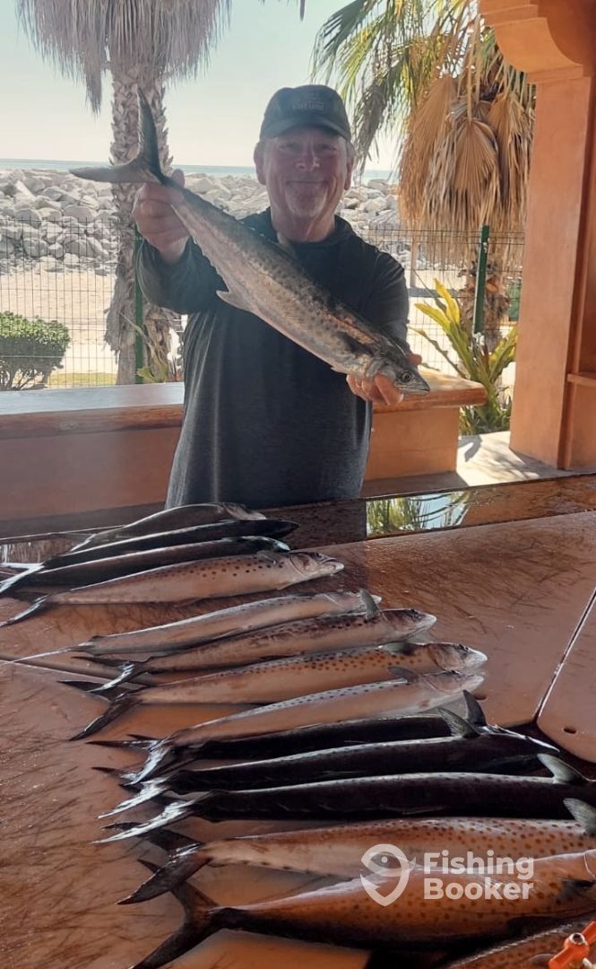 San Jose del Cabo Report Photo 0