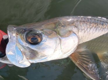 The Bite in ON!!